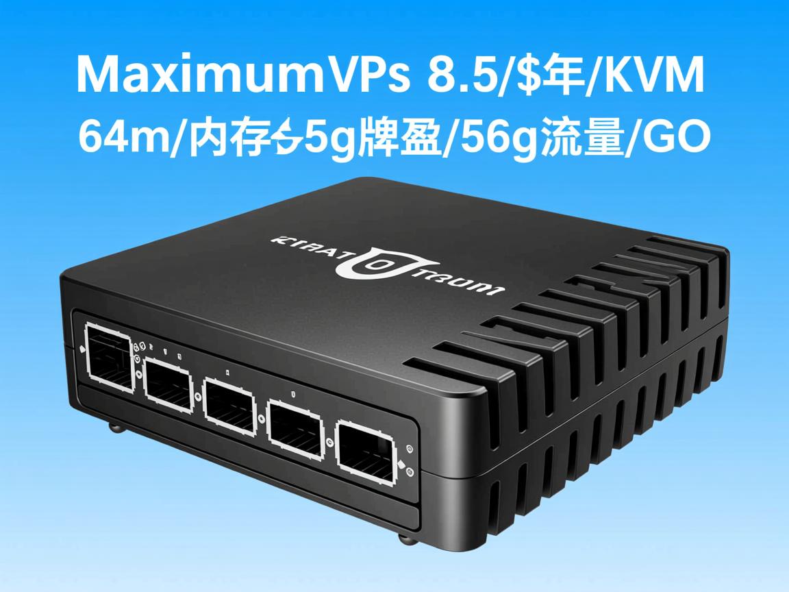 maximumvps-8.5$/年/KVM/64m内存/5g硬盘/56g流量/G口
