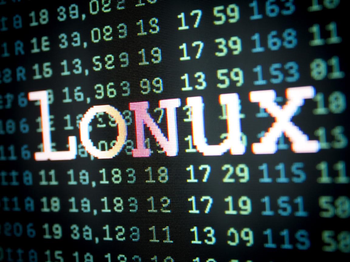 在linux中如何显示字  第1张