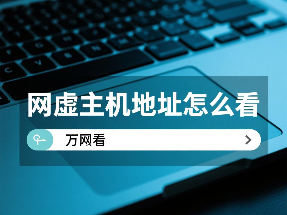 万网虚拟主机地址怎么看  第1张