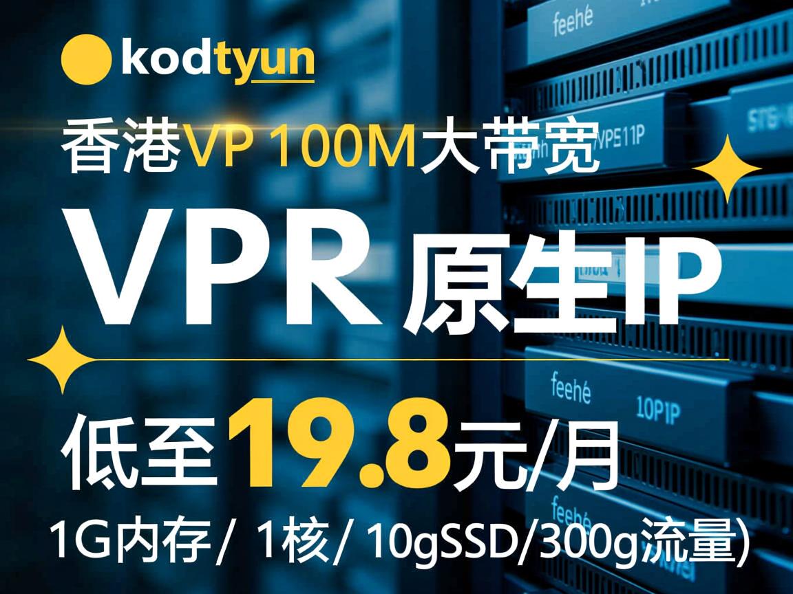 hostyun：香港VPS，100M大带宽，原生IP，低至19.8元/月(1G内存/1核/10gSSD/300g流量)  第2张