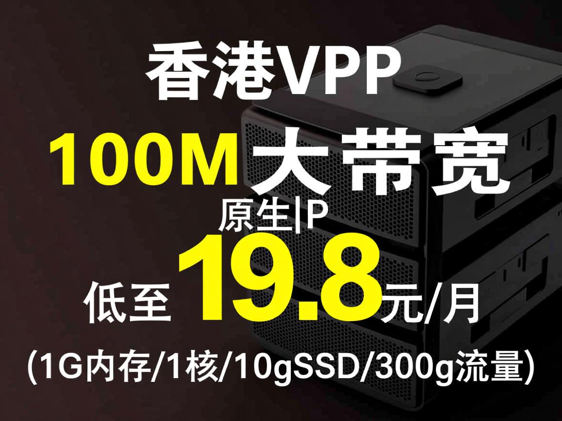hostyun：香港VPS，100M大带宽，原生IP，低至19.8元/月(1G内存/1核/10gSSD/300g流量)
