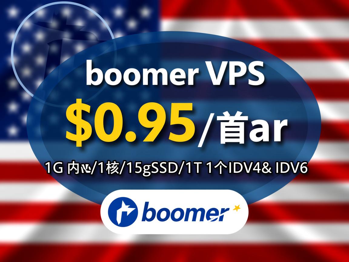 boomer：美国VPS，$0.95/首年，1G内存/1核/15gSSD/1T流量，1个IPv4& IPv6  第1张