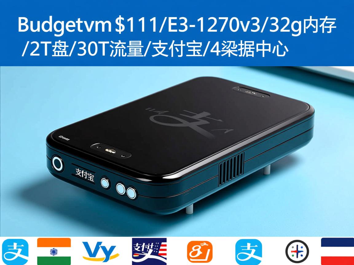 budgetvm-$111/E3-1270v3/32g内存/2T盘/30T流量/支付宝/4数据中心