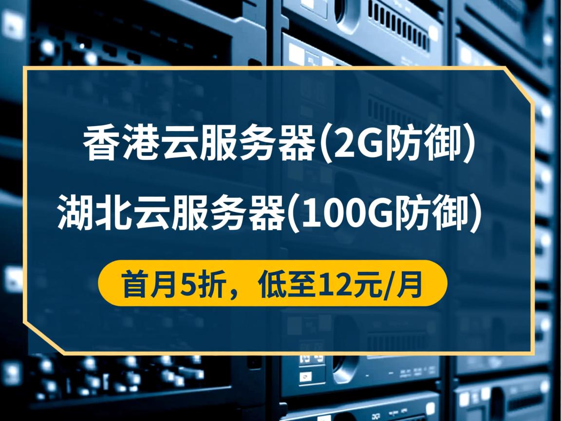 昔日数据：香港云服务器(2G防御)、湖北云服务器(100G防御)，首月5折，低至12元/月