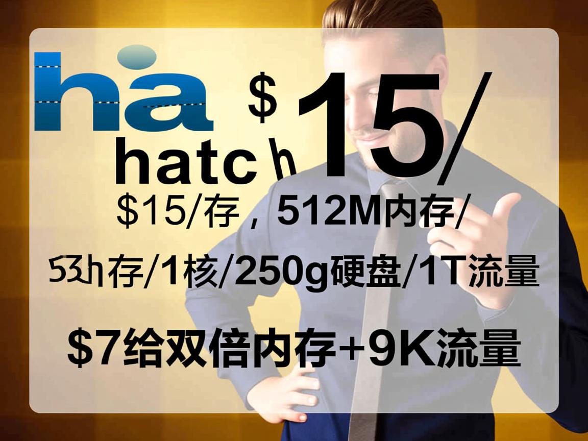 hosthatch：$15/年，512M内存/1核/250g硬盘/1T流量，+$7给双倍内存+9T流量  第2张