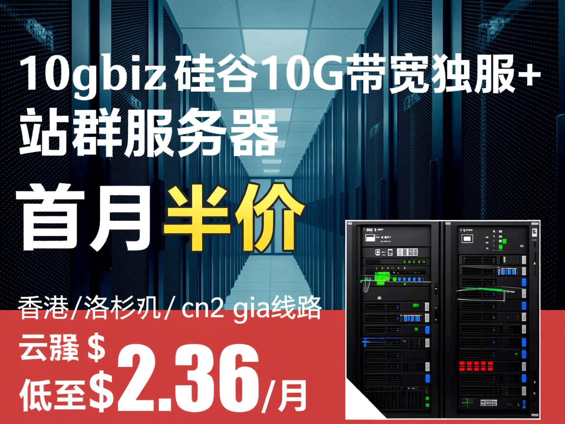 10gbiz：硅谷10G带宽独服+站群服务器，首月半价；香港\洛杉矶云服务器，cn2 gia线路，低至$2.36/月