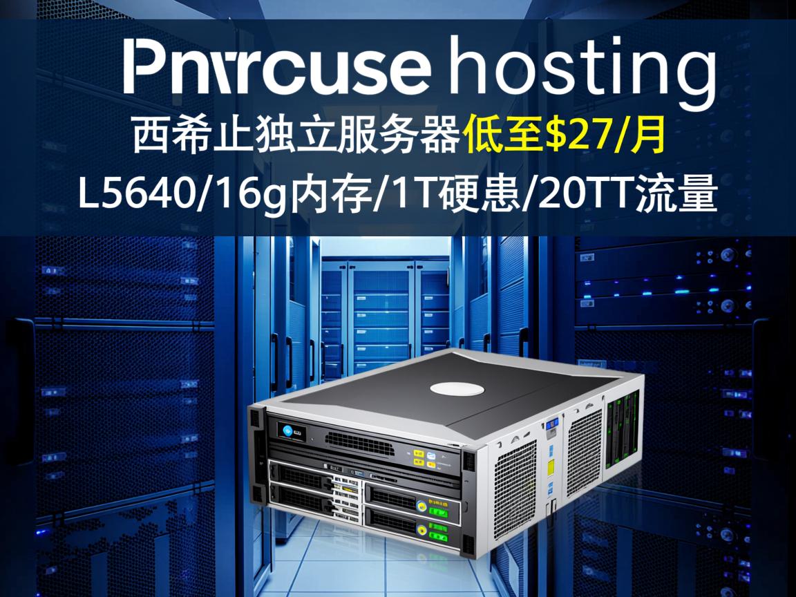reprisehosting：西雅图独立服务器，低至$27/月，L5640/16g内存/1T硬盘/20T流量  第2张