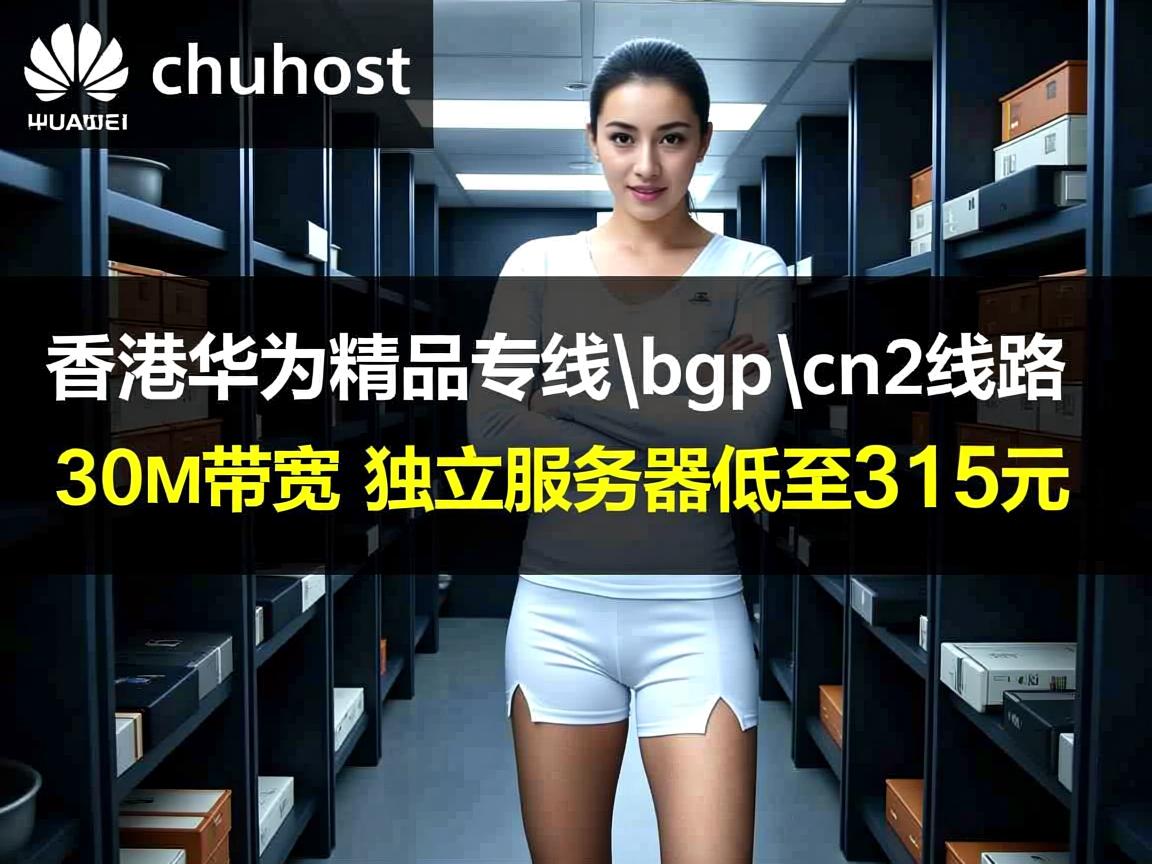 shuhost:香港华为精品专线\bgp\cn2线路,30M带宽,独立服务器低至315元 第3张 shuhost:香港华为精品专线\bgp\cn2线路,30M带宽,独立服务器低至315元 第3张