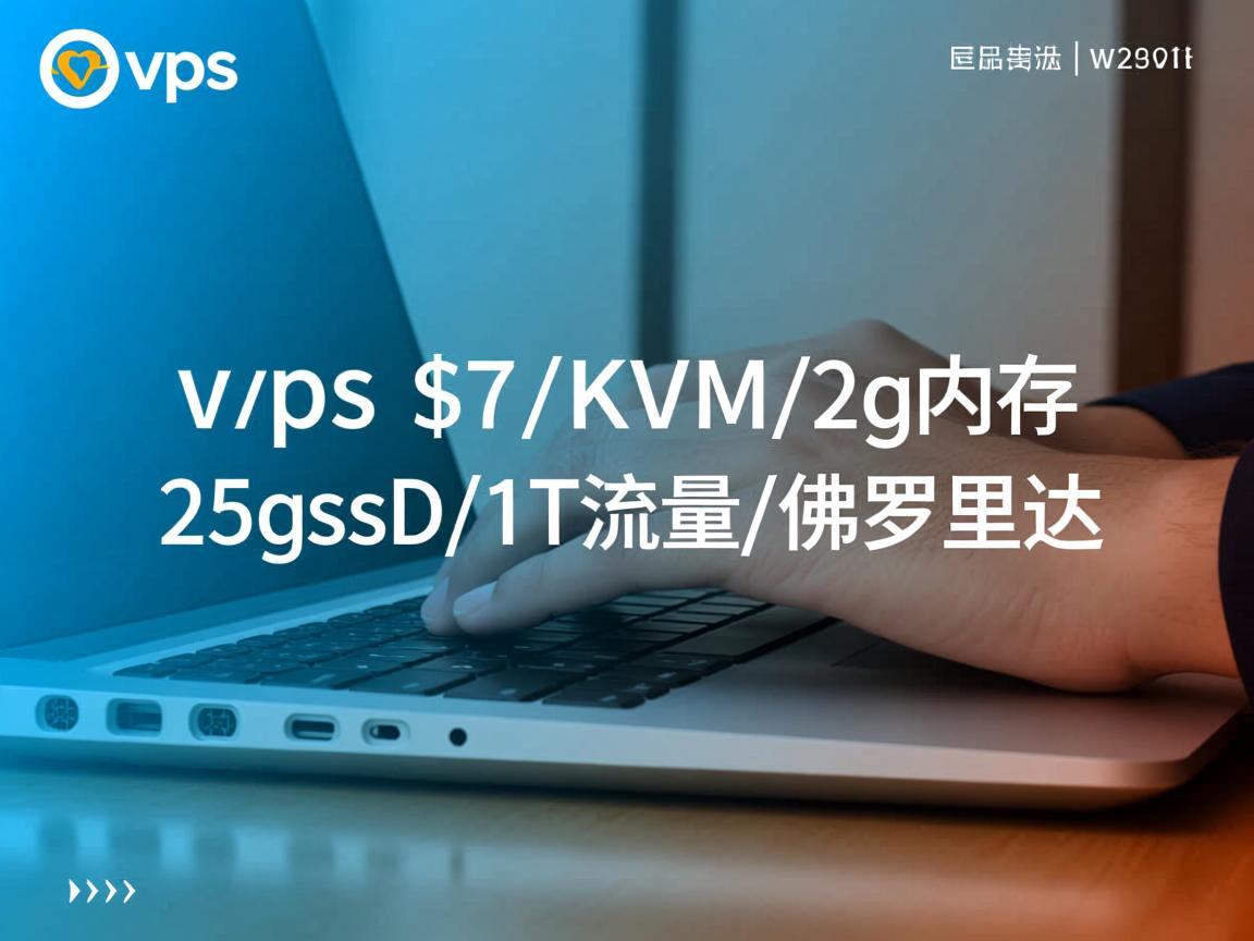 lovevps-$7/KVM/2g内存/25gssd/1T流量/佛罗里达 第2张 lovevps-$7/KVM/2g内存/25gssd/1T流量/佛罗里达 第2张
