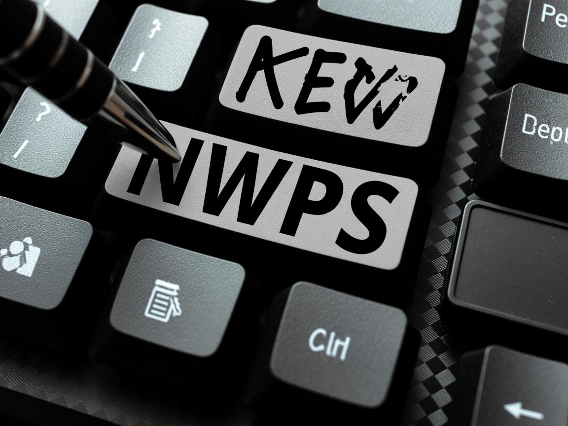 复制在WPS上为什么是黑色的  第1张