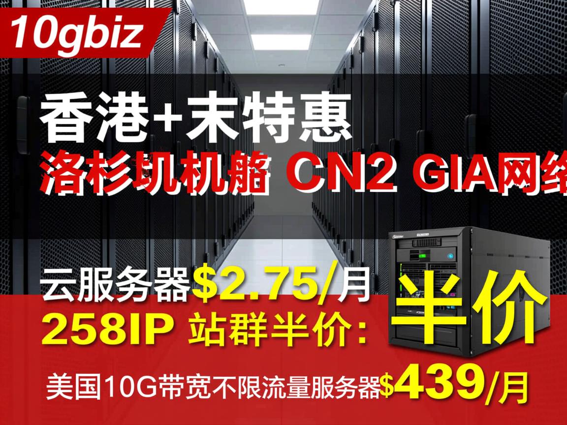 10gbiz：年末特惠，香港+洛杉矶机房，CN2 GIA网络，云服务器$2.75/月，258IP站群半价；美国10G带宽不限流量服务器$439/月  第2张