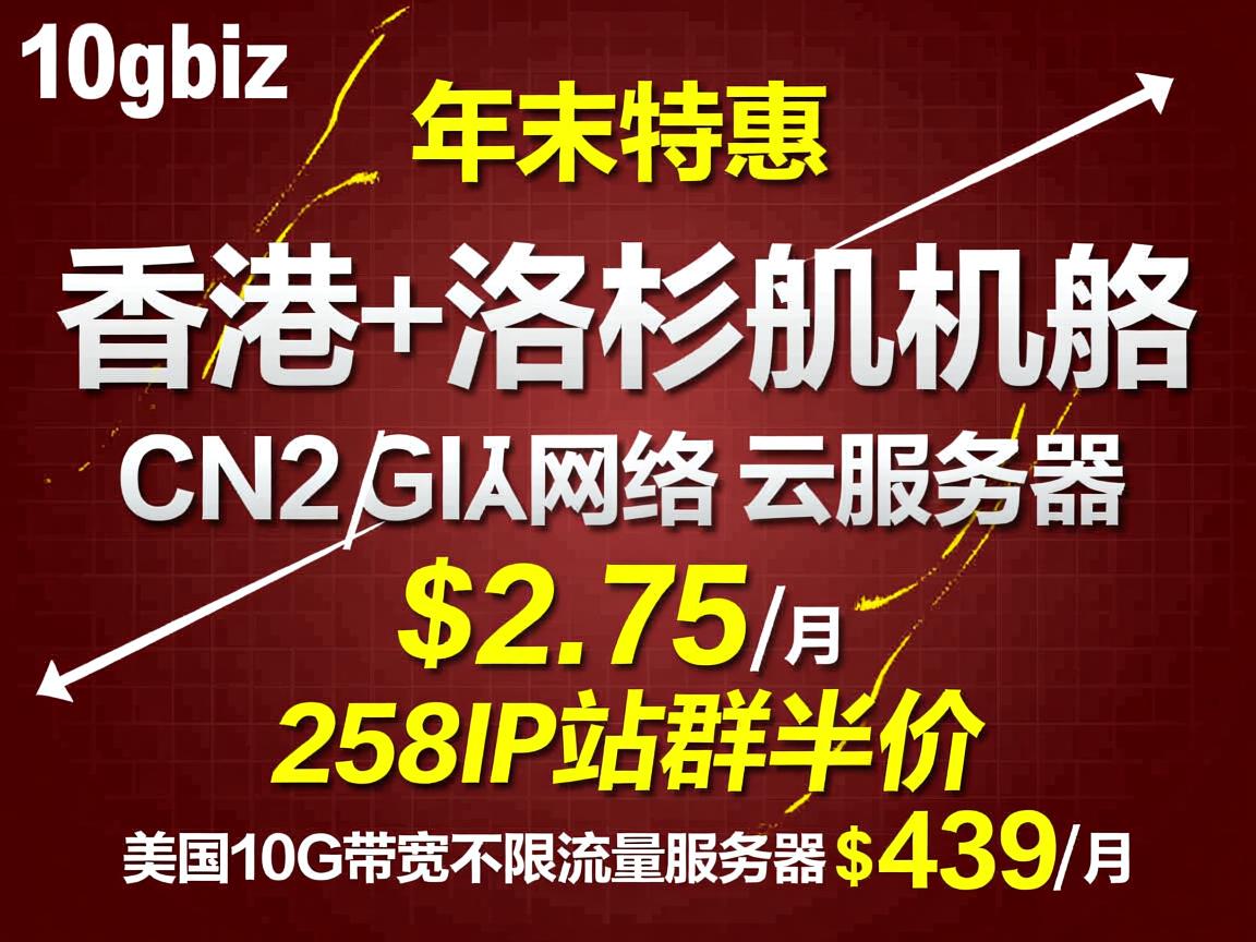 10gbiz：年末特惠，香港+洛杉矶机房，CN2 GIA网络，云服务器$2.75/月，258IP站群半价；美国10G带宽不限流量服务器$439/月  第3张