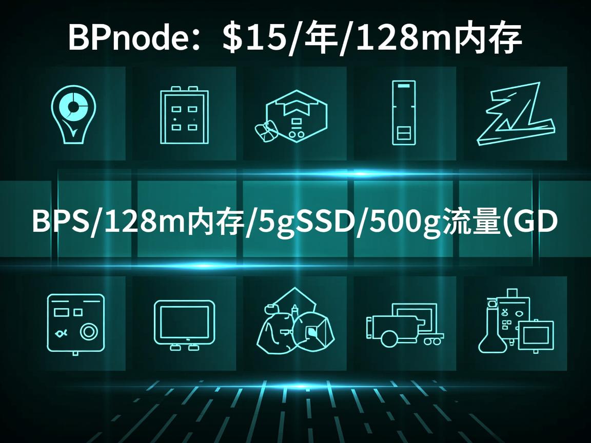 bpsnode-$15/年/128m内存/5gSSD/500g流量/G口  第3张
