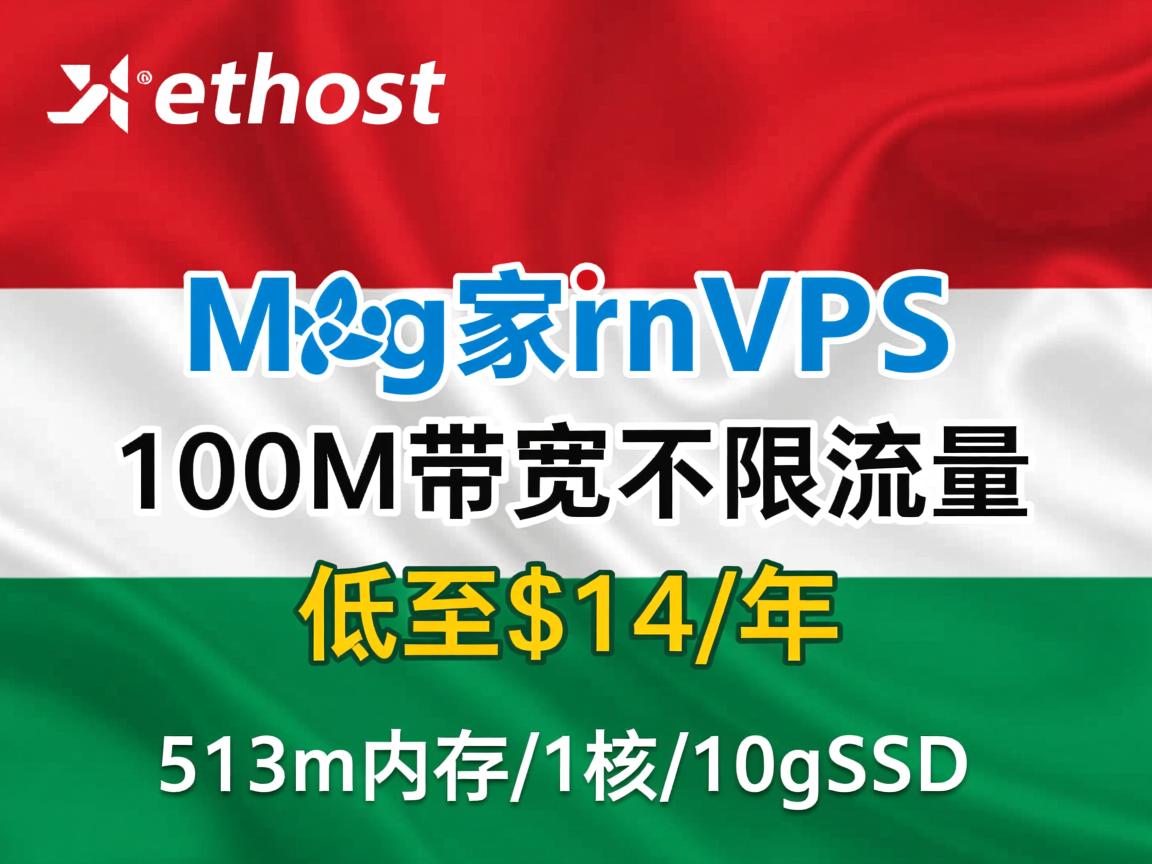 xethost：匈牙利vps，100M带宽不限流量，低至$14/年，512m内存/1核/10gSSD