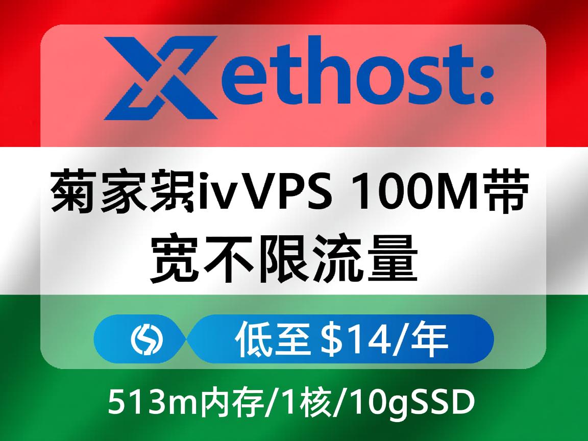 xethost:匈牙利vps,100M带宽不限流量,低至$14/年,512m内存/1核/10gSSD 第3张 xethost:匈牙利vps,100M带宽不限流量,低至$14/年,512m内存/1核/10gSSD 第3张