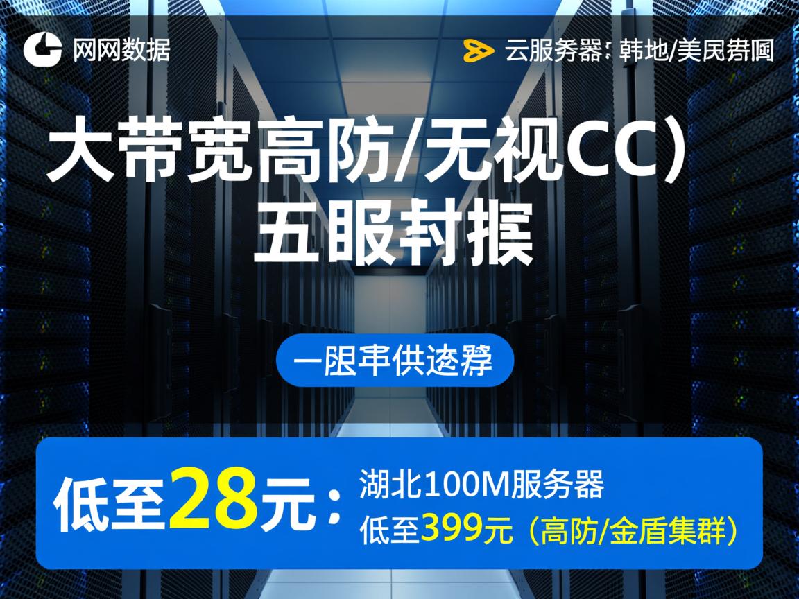 大网数据：大带宽(高防/无视CC)云服务器，内地/香港/韩国/美国机房可供选择，低至28元；湖北100M服务器低至399元（高防/金盾集群）
