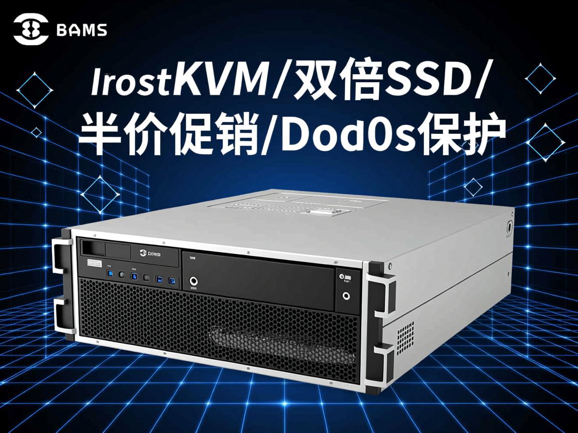onrahost-KVM/双倍SSD/半价促销/Ddos保护