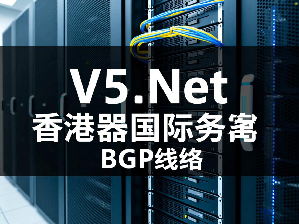 V5.Net香港服务器怎么样？简单测评下香港国际BGP线路的服务器  第3张