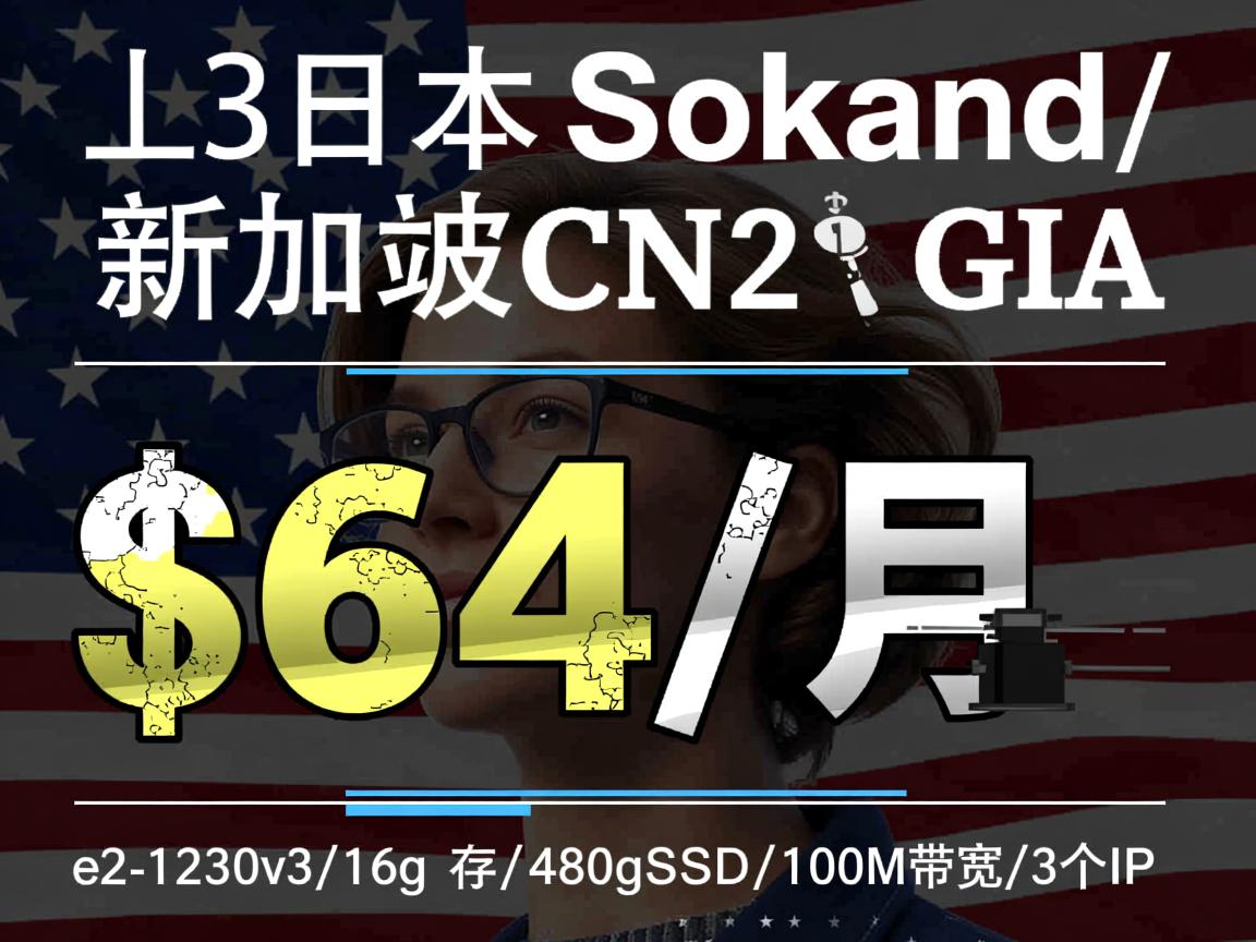 bgpto：日本软银/新加坡CN2 GIA，独立服务器，$64/月，e3-1230v3/16g内存/480gSSD/100M带宽/3个IP