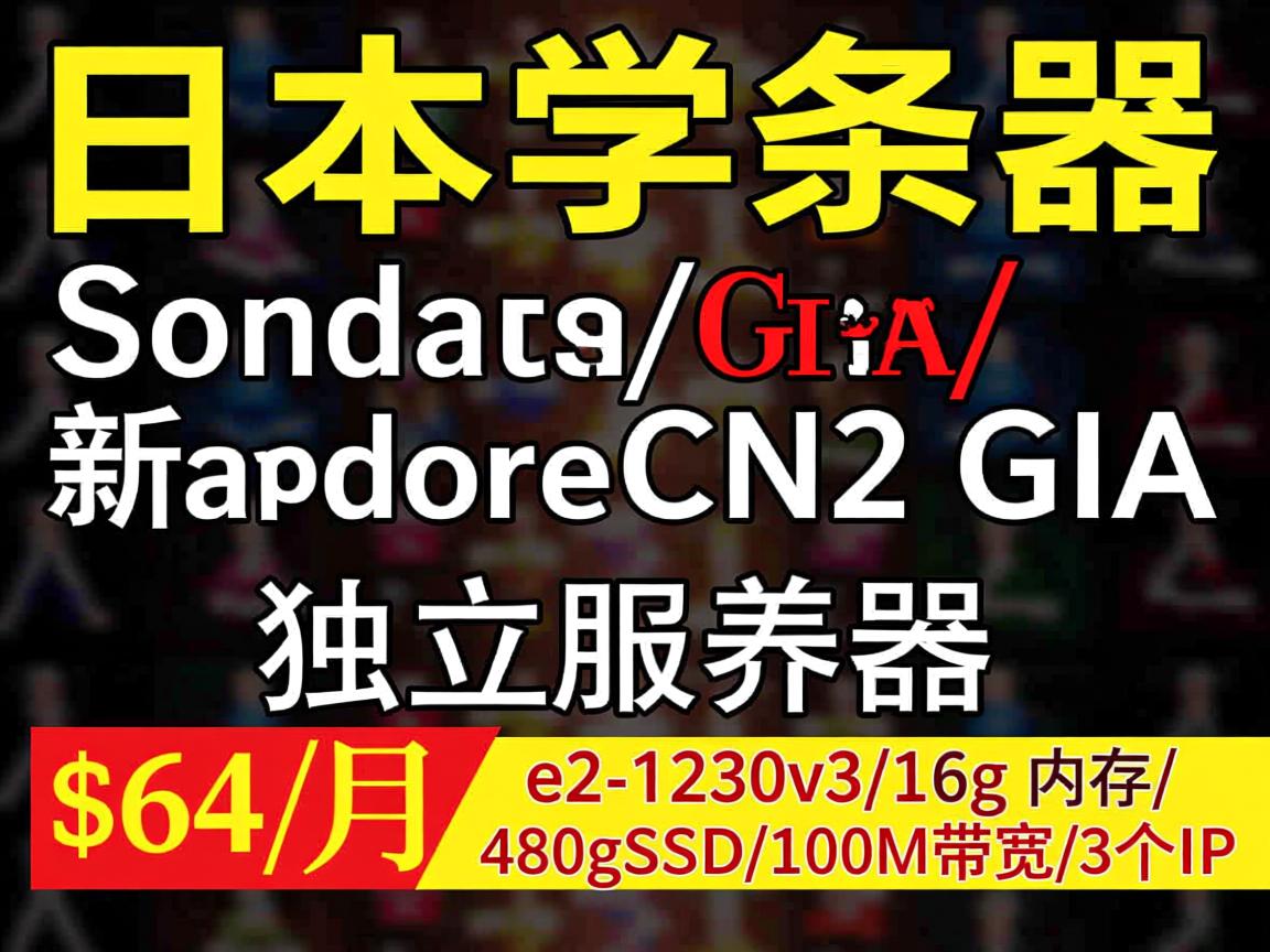 bgpto：日本软银/新加坡CN2 GIA，独立服务器，$64/月，e3-1230v3/16g内存/480gSSD/100M带宽/3个IP  第2张