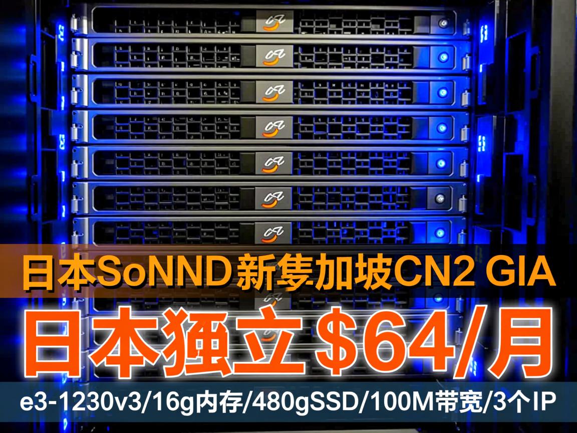 bgpto：日本软银/新加坡CN2 GIA，独立服务器，$64/月，e3-1230v3/16g内存/480gSSD/100M带宽/3个IP  第3张