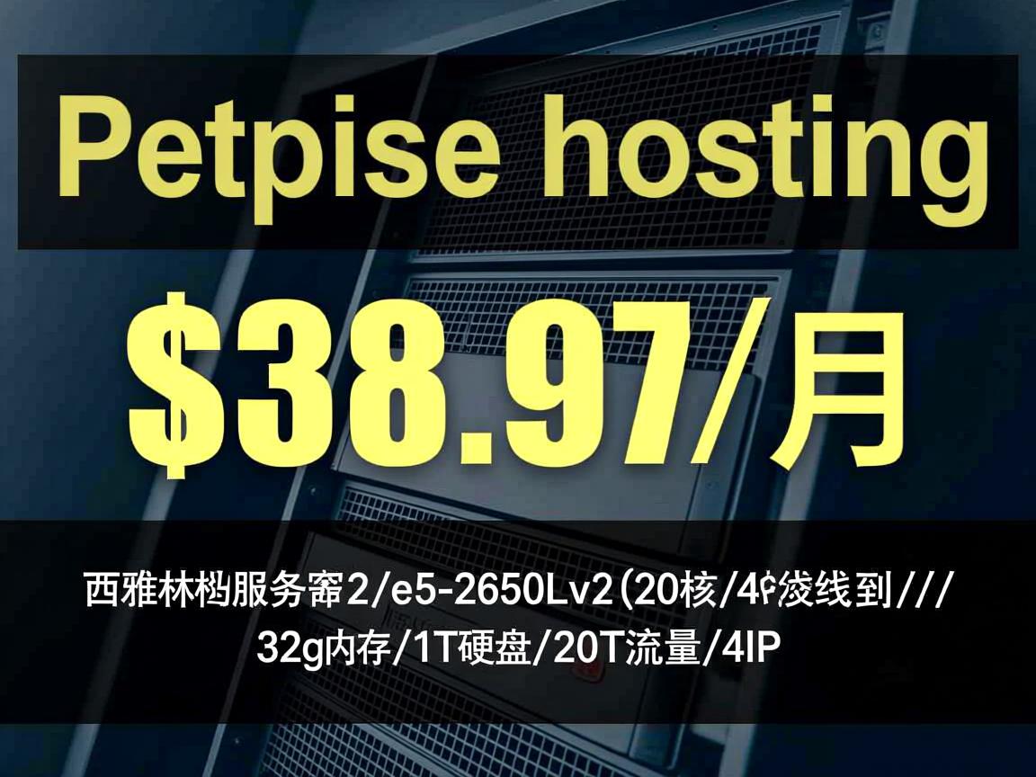reprisehosting：$38.97/月，西雅图服务器，2*e5-2650Lv2(20核/40线程)/32g内存/1T硬盘/20T流量/4IP  第3张