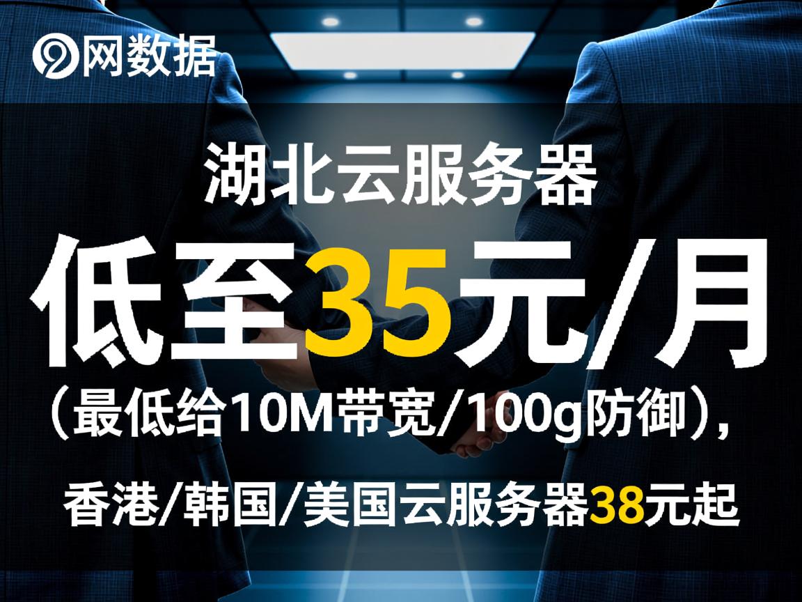 大网数据：湖北云服务器低至35元/月(最低给10M带宽/100g防御)，香港/韩国/美国云服务器38元起  第1张