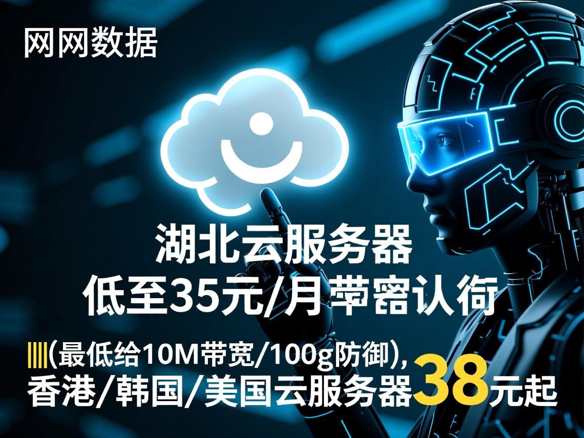大网数据：湖北云服务器低至35元/月(最低给10M带宽/100g防御)，香港/韩国/美国云服务器38元起  第2张