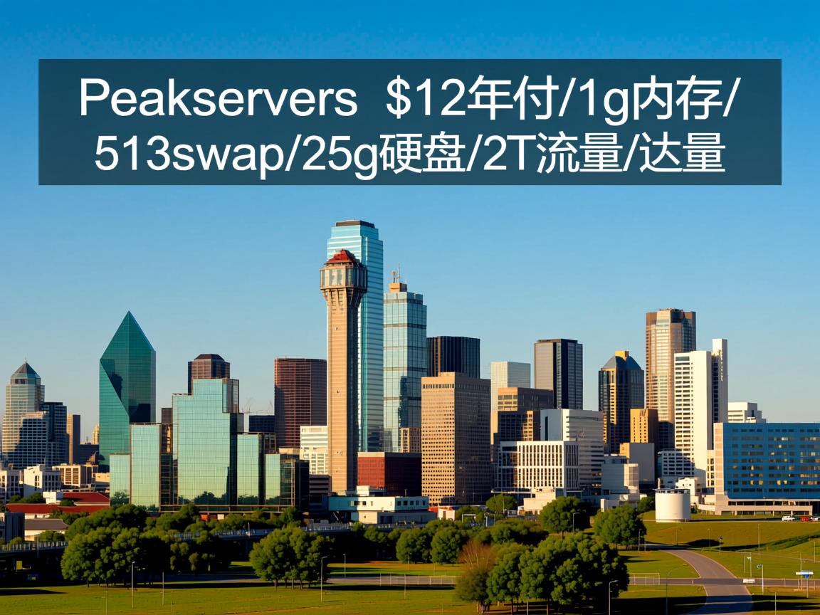 peakservers-$12年付/1g内存/512swap/25g硬盘/2T流量/达拉斯
