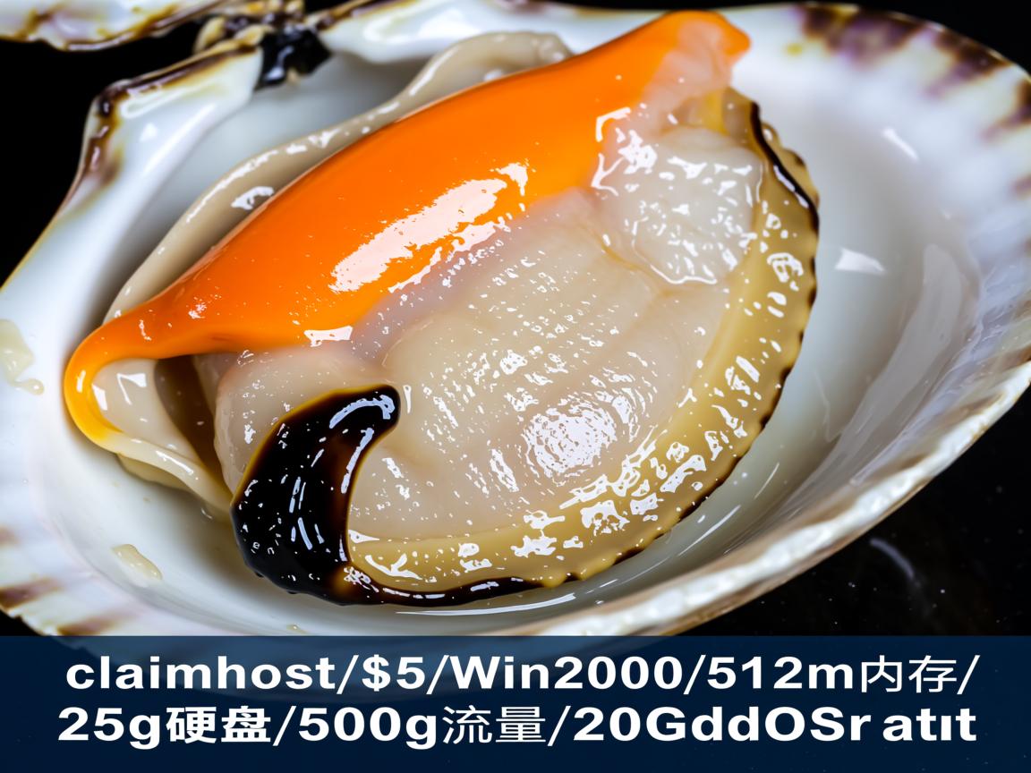 clamhost-$5/Win2008/512m内存/25g硬盘/500g流量/20Gddos保护  第3张