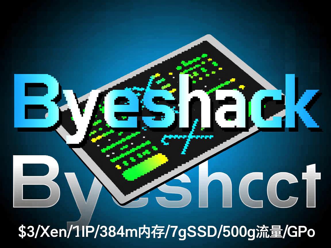 Byteshack-$3/Xen/2IP/384m内存/7gSSD/500g流量/G口