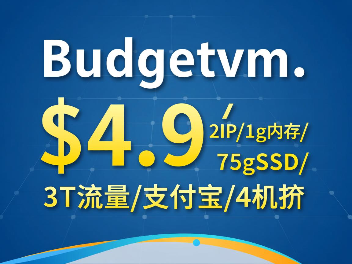 推荐:budgetvm-$4.99/2IP/1g内存/75gSSD/3T流量/支付宝/4机房  第2张