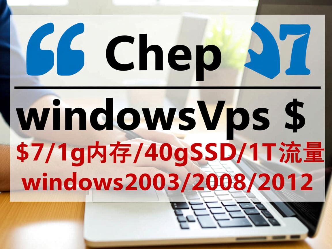 cheapwindowsvps-$7/1g内存/40gSSD/1T流量/windows2003/2008/2012  第3张