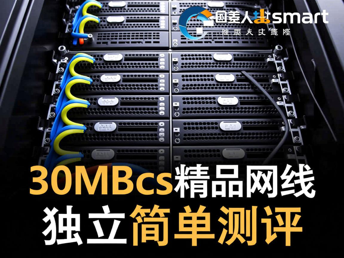 raksmart圣何塞30Mbps精品网线路独立服务器简单测评
