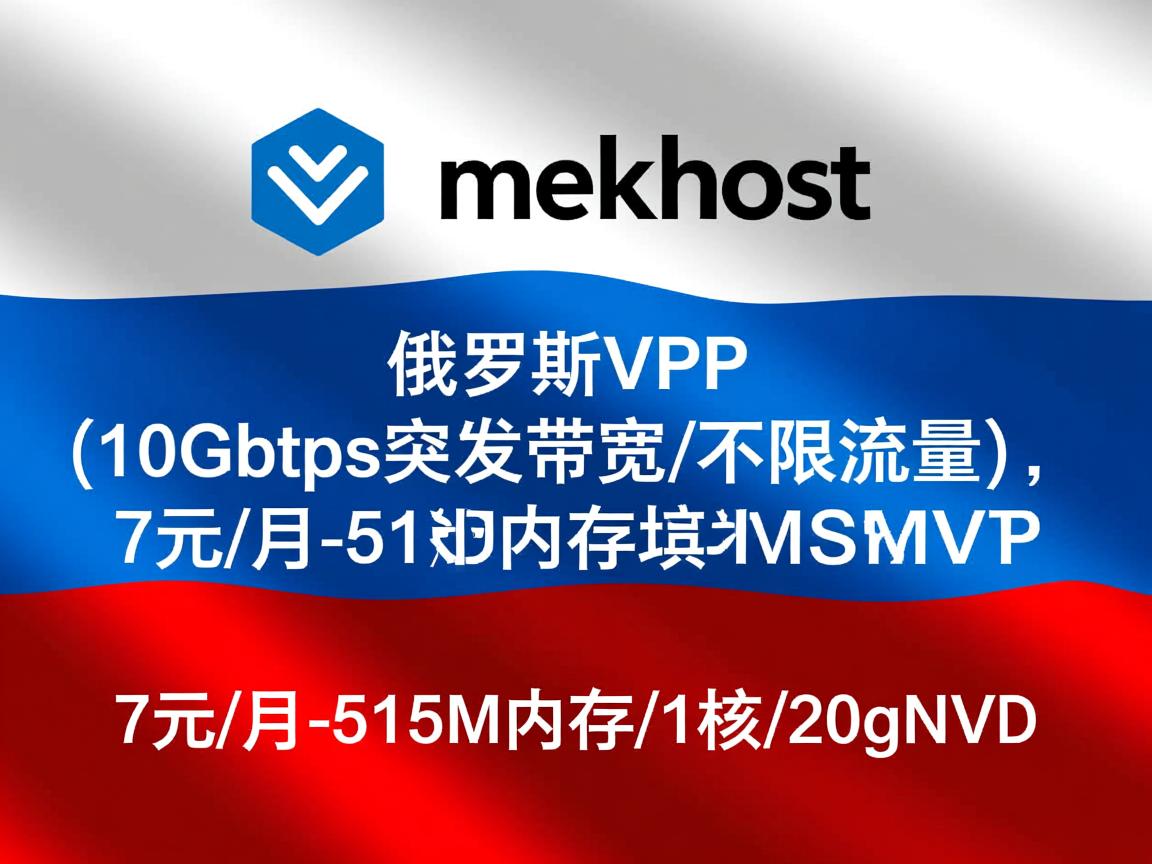 mskhost：俄罗斯VPS(10Gbps突发带宽/不限流量)，7元/月-512M内存/1核/20gNVMe  第2张