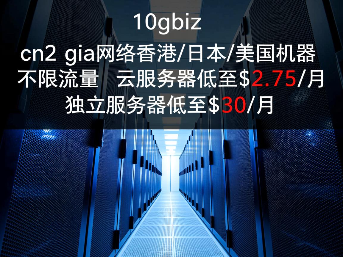 10gbiz:cn2 gia网络,香港\日本\美国机房,不限流量,云服务器低至$2.75/月,独立服务器低至$30/月 第3张 10gbiz:cn2 gia网络,香港\日本\美国机房,不限流量,云服务器低至$2.75/月,独立服务器低至$30/月 第3张