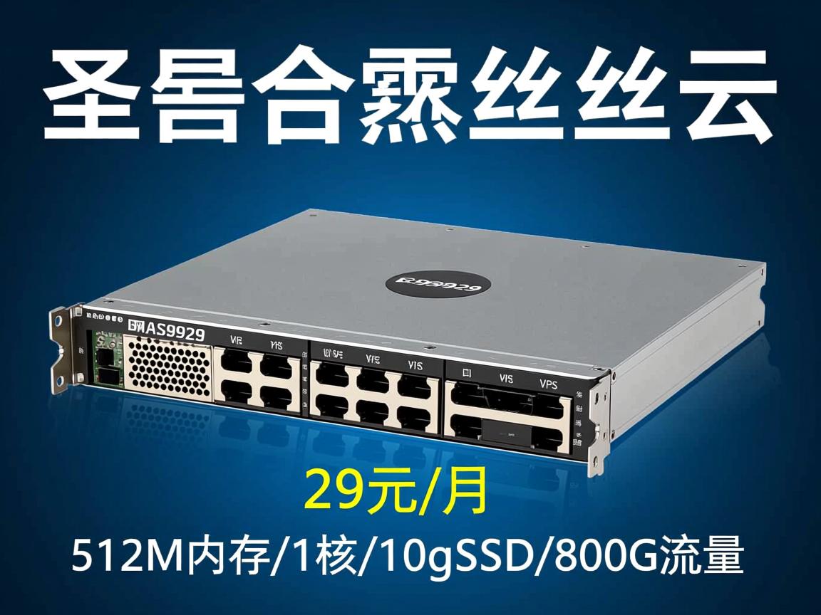 白色云：圣何塞三网AS9929高速回程线路VPS，29元/月，512M内存/1核/10gSSD/800G流量