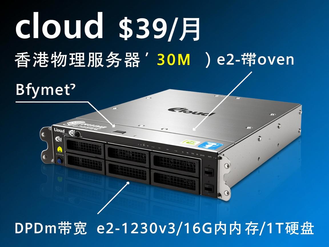 licloud：$39/月，香港物理服务器，30M带宽，e3-1230v3/16G内存/1T硬盘  第3张