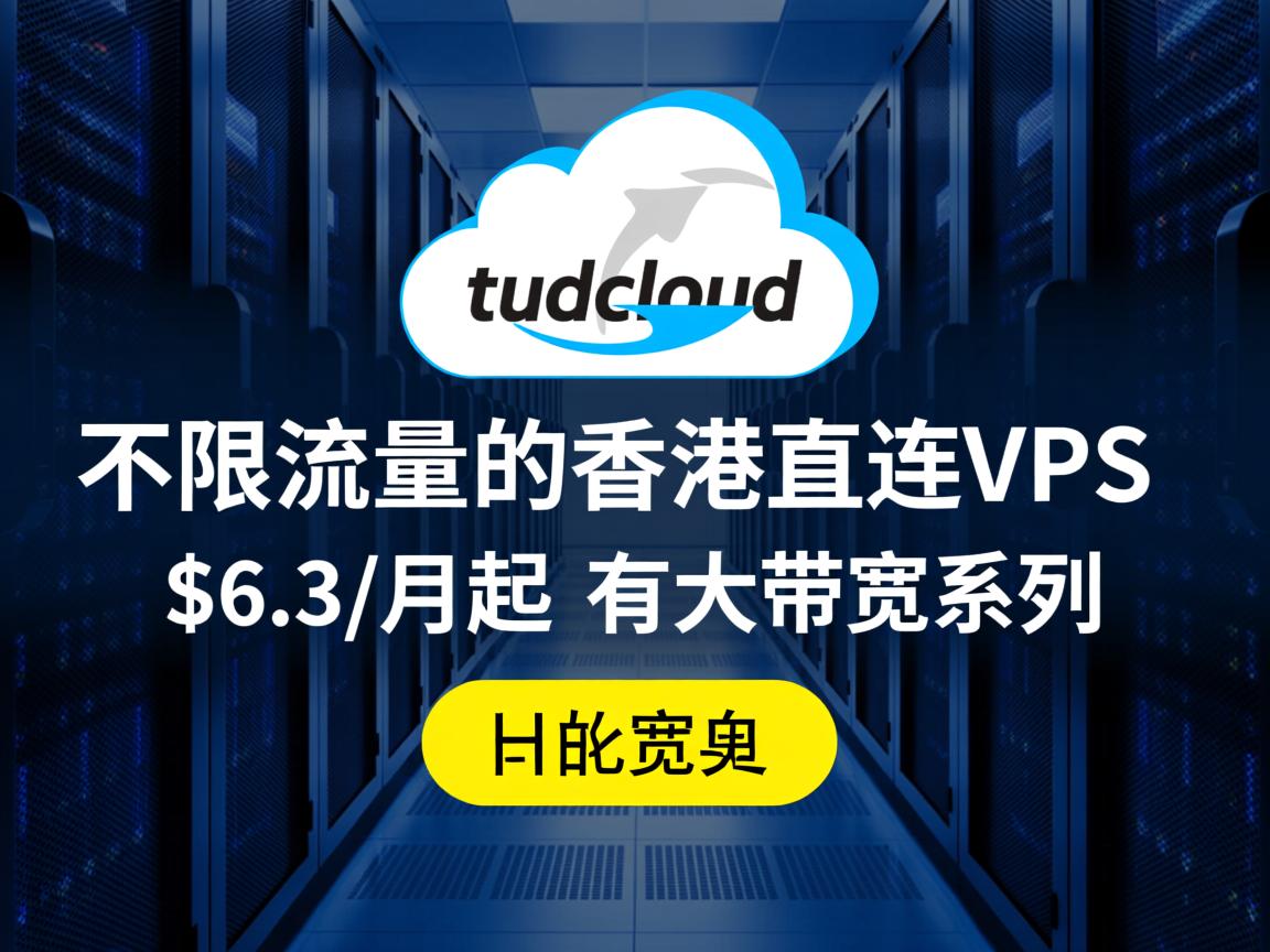 tudcloud：不限流量的香港直连vps，$6.3/月起，有大带宽系列  第3张
