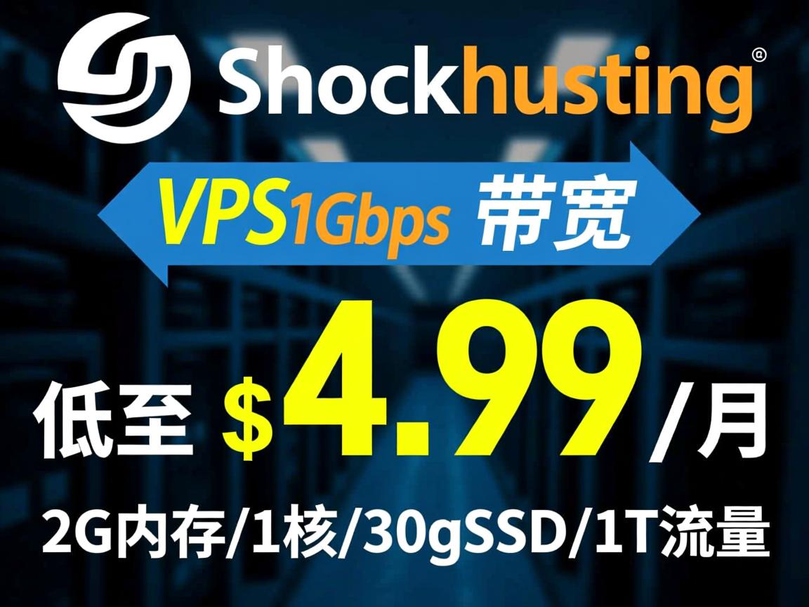 shockhosting：新加坡vps，1Gbps带宽，低至$4.99/月，2G内存/1核/30gSSD/1T流量  第1张