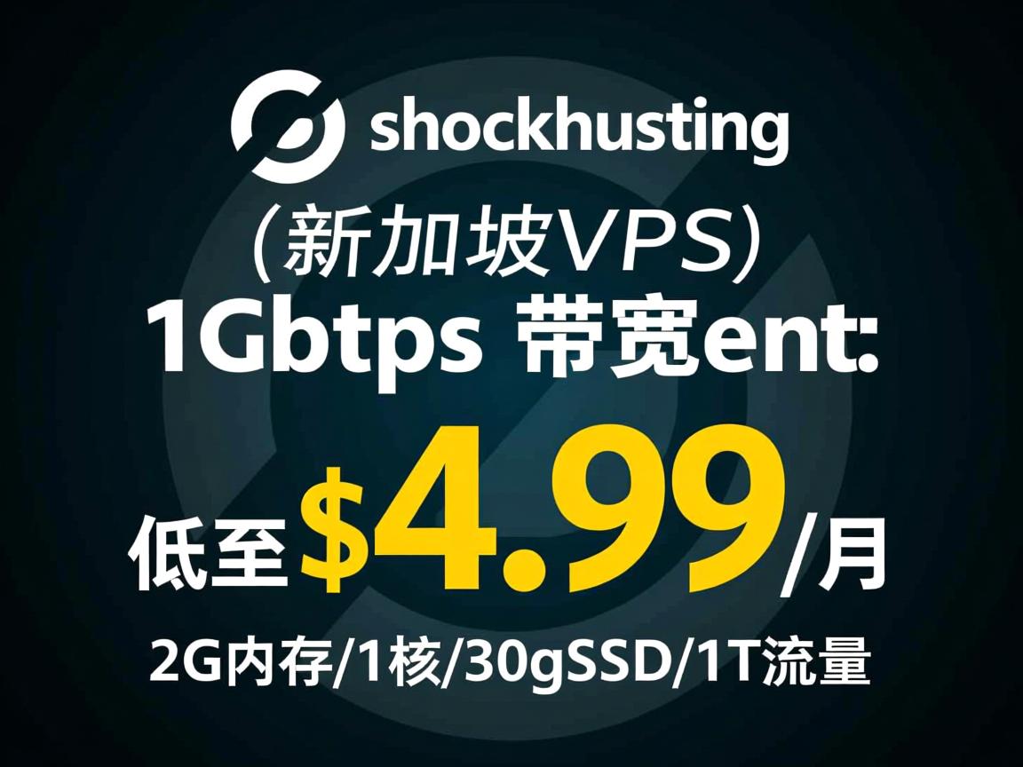 shockhosting：新加坡vps，1Gbps带宽，低至$4.99/月，2G内存/1核/30gSSD/1T流量  第3张