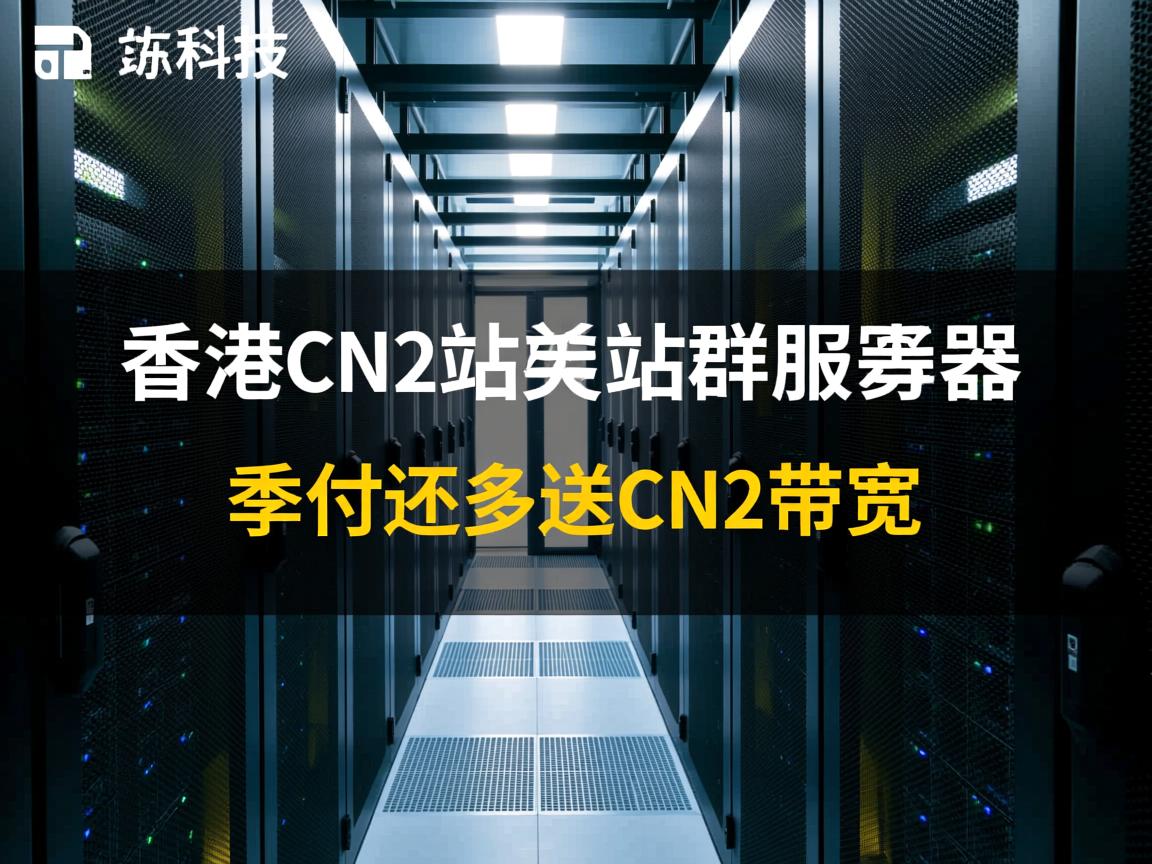 百纵科技：香港CN2站群、美国CN2站群服务器，季付还多送CN2带宽  第2张