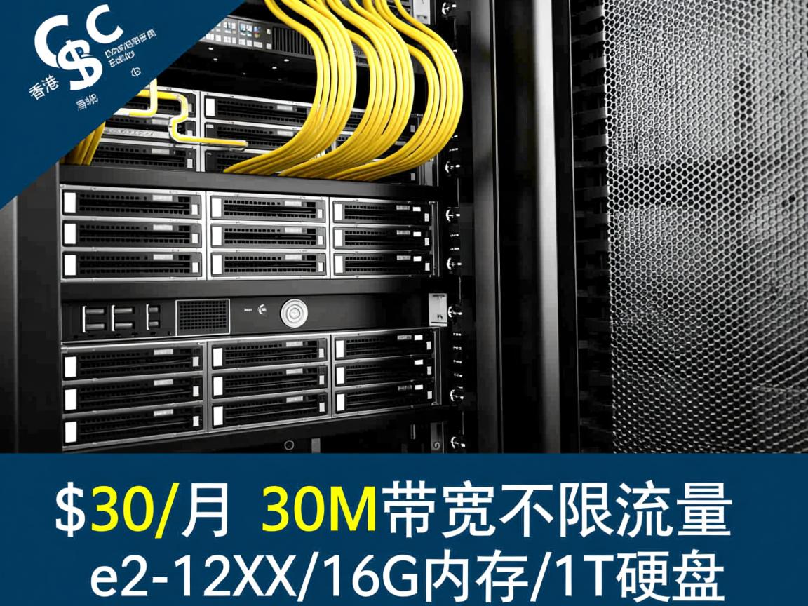 runidc：香港物理服务器，$30/月，30M带宽不限流量，e3-12XX/16G内存/1T硬盘
