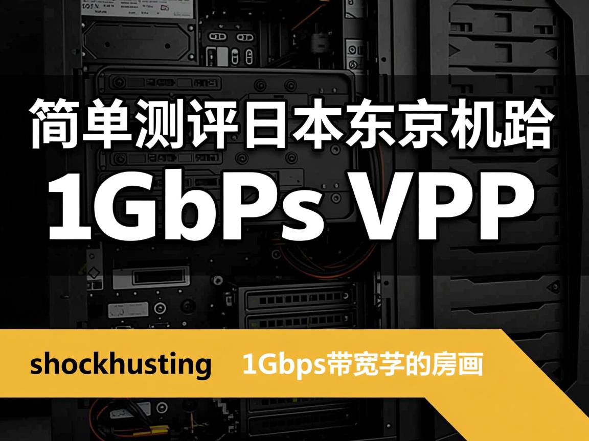 shockhosting:简单测评日本东京机房1Gbps带宽的VPS 第3张 shockhosting:简单测评日本东京机房1Gbps带宽的VPS 第3张