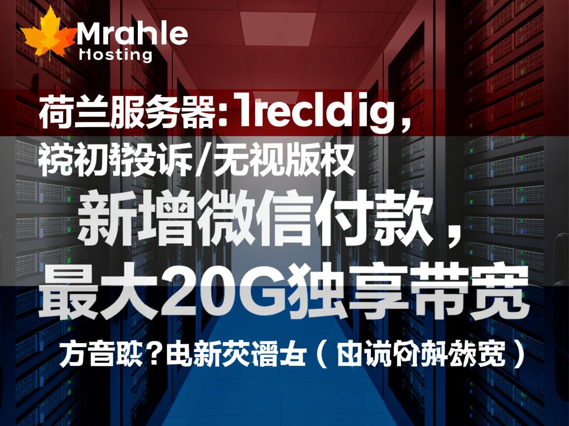maple-hosting:荷兰服务器,抗投诉/无视版权,新增微信付款,最大20G独享带宽 第2张 maple-hosting:荷兰服务器,抗投诉/无视版权,新增微信付款,最大20G独享带宽 第2张