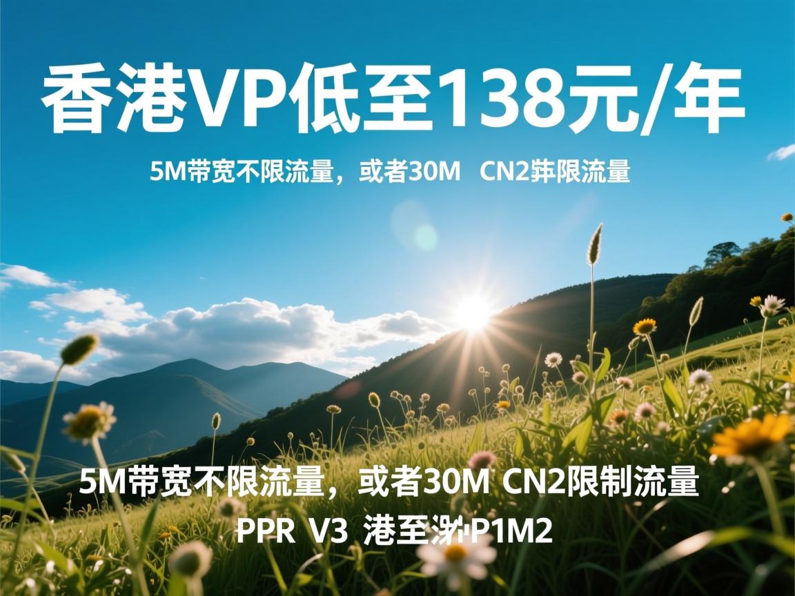 野草云：香港VPS低至138元/年，5M带宽不限流量，或者30M CN2限制流量