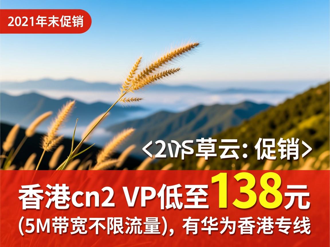 野草云：2021年末促销，香港cn2 vps低至138元(5M带宽不限流量)，有华为香港专线