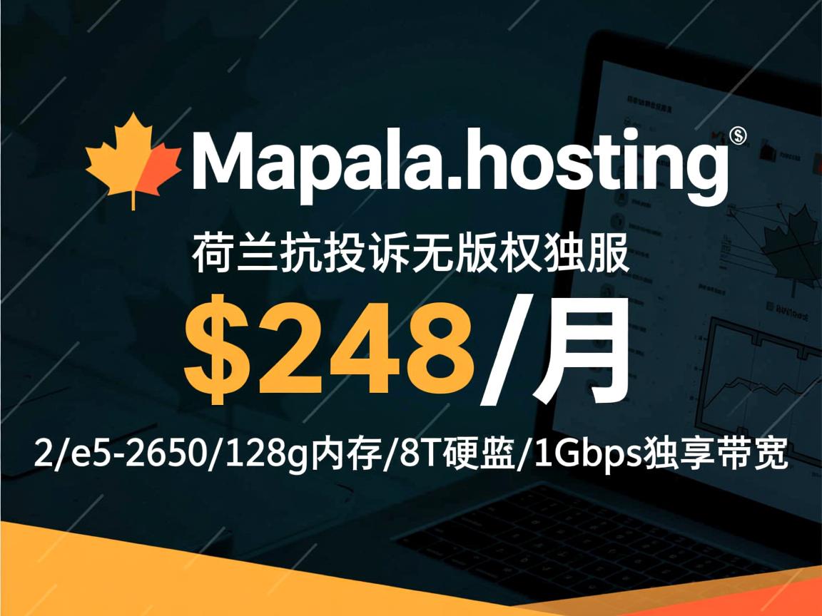 maple-hosting:荷兰抗投诉无版权独服,$248/月,2*e5-2650/128g内存/8T硬盘/1Gbps独享带宽 第3张 maple-hosting:荷兰抗投诉无版权独服,$248/月,2*e5-2650/128g内存/8T硬盘/1Gbps独享带宽 第3张