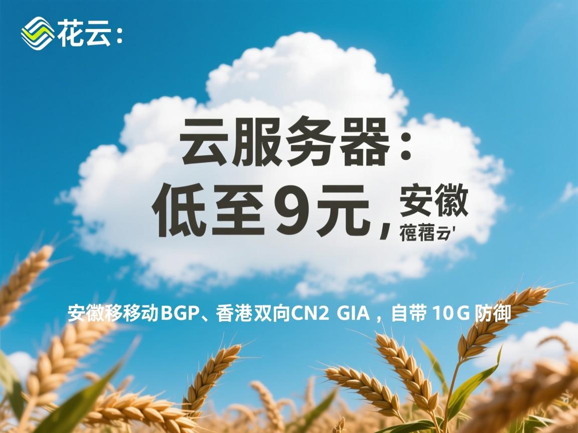 麻花云：云服务器低至9元，安徽移动BGP、香港双向CN2 GIA，自带10G防御
