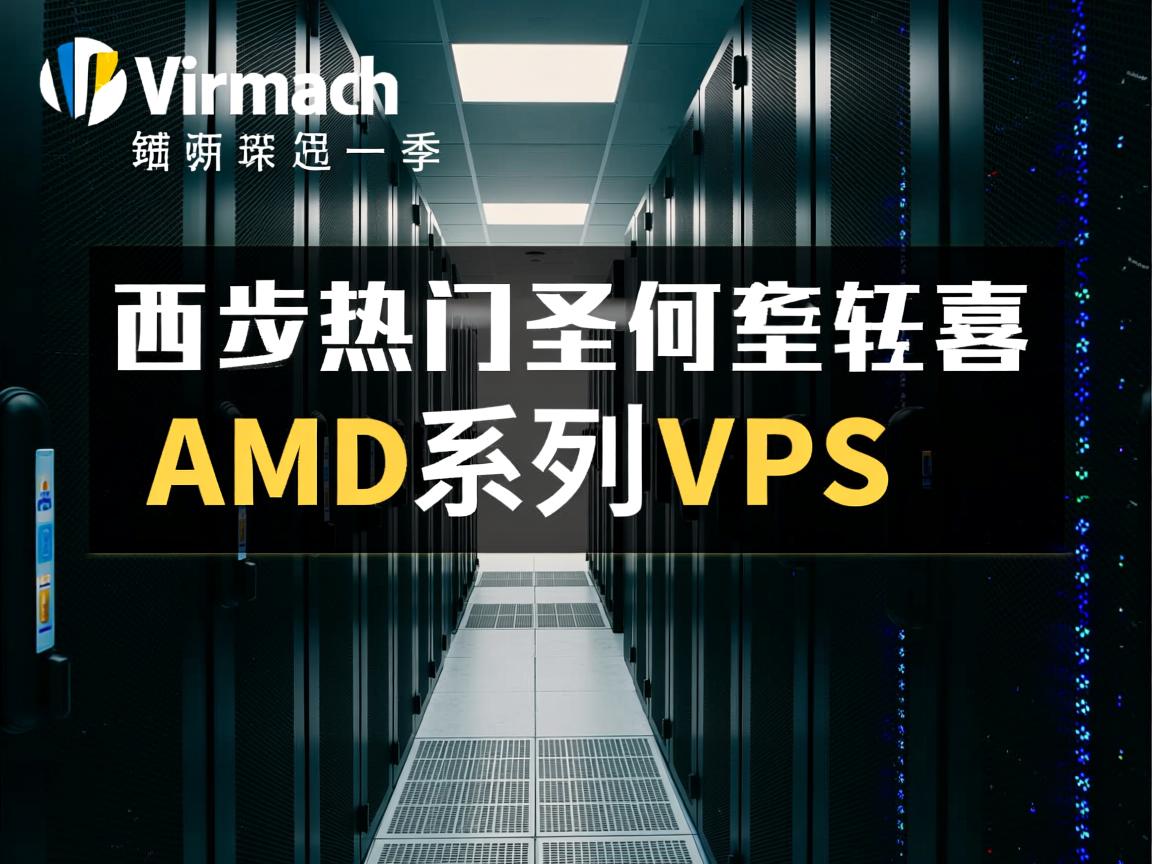 测评下Virmach家西海岸热门圣何塞机房的AMD系列VPS